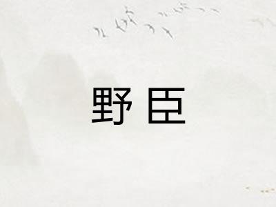 野臣