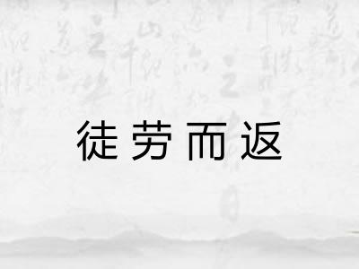 徒劳而返