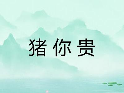 猪你贵