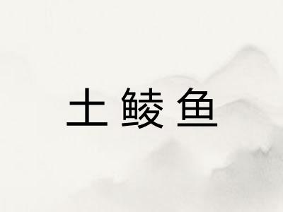土鲮鱼