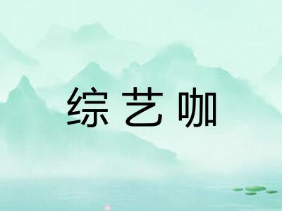 综艺咖