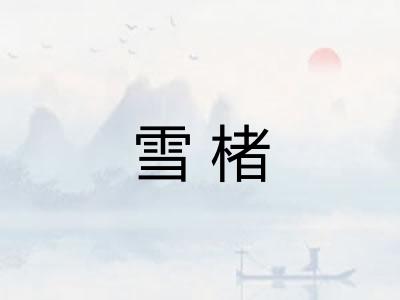 雪楮
