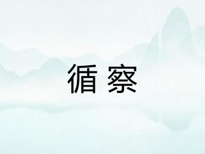 循察