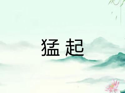 猛起
