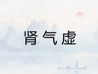 肾气虚