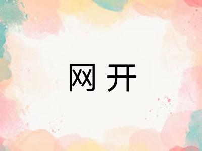 网开