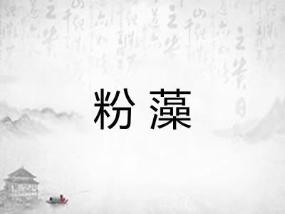 粉藻