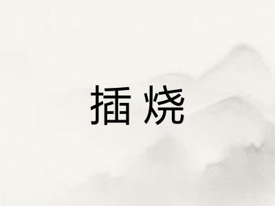 插烧