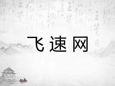 飞速网