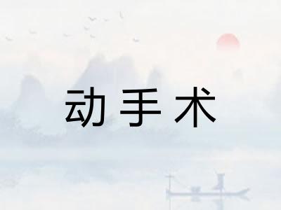 动手术
