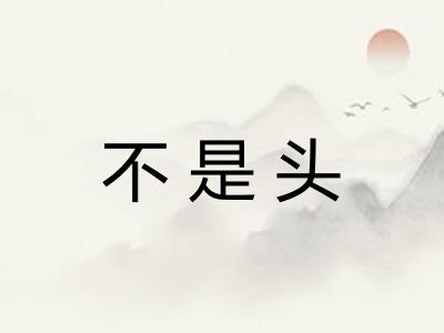 不是头