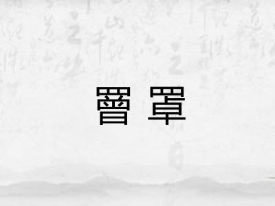 罾罩