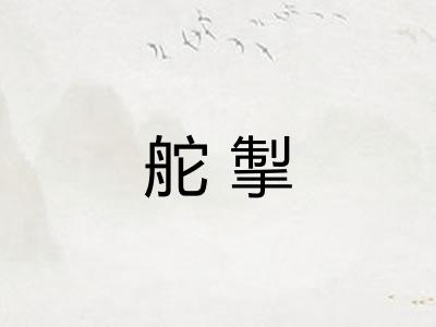 舵掣