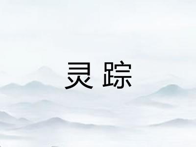 灵踪