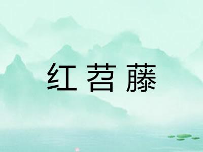 红苕藤