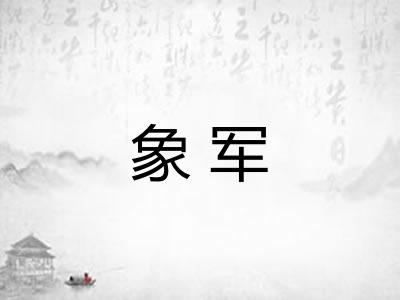 象军