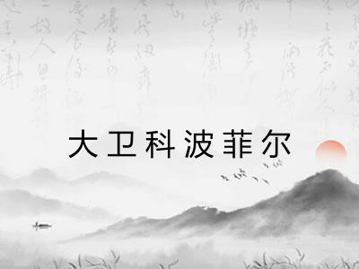大卫科波菲尔