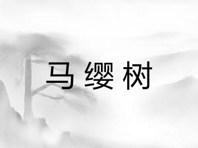 马缨树