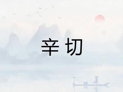 辛切