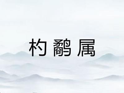 杓鹬属