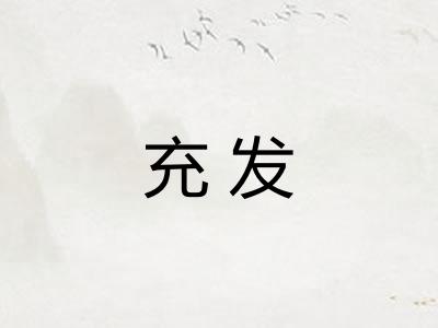 充发