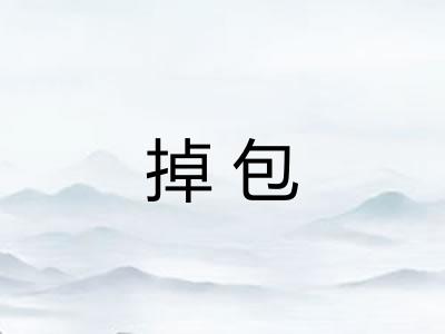 掉包