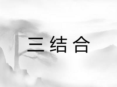 三结合