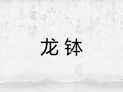 龙钵