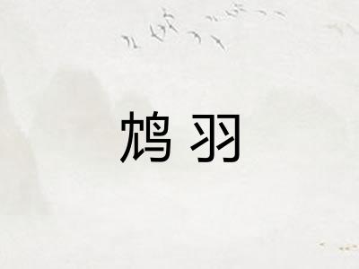 鸩羽
