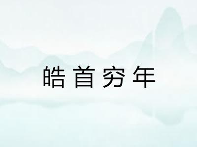 皓首穷年