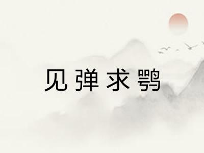 见弹求鹗