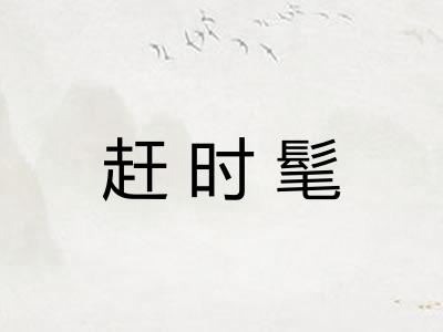 赶时髦