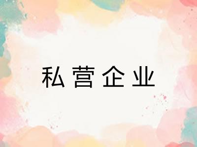 私营企业