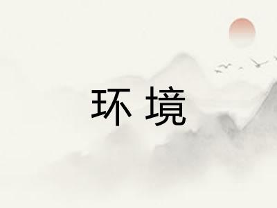 环境
