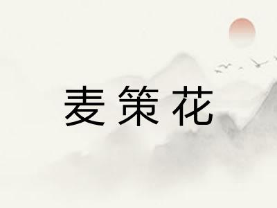 麦策花