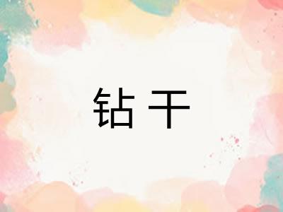 钻干