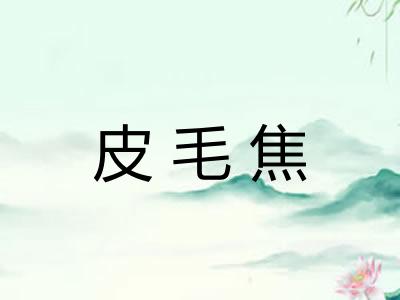 皮毛焦