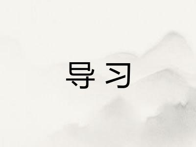 导习