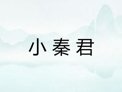 小秦君