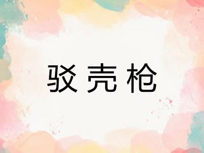 驳壳枪