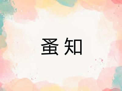 蚤知