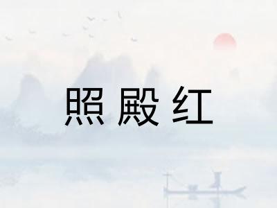 照殿红