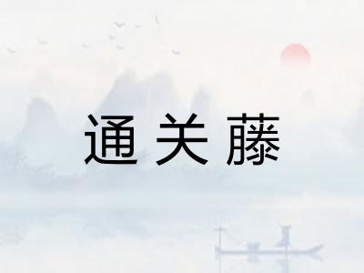 通关藤