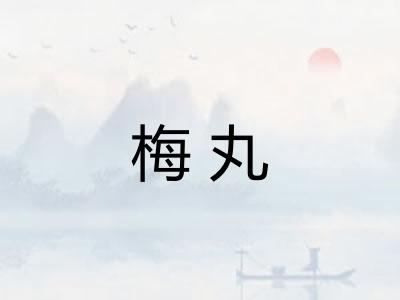 梅丸