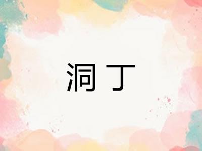 洞丁