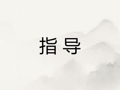 指导