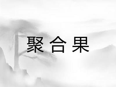 聚合果