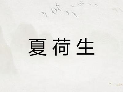 夏荷生