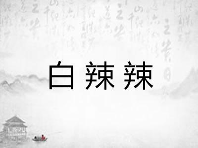 白辣辣