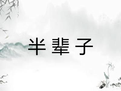 半辈子